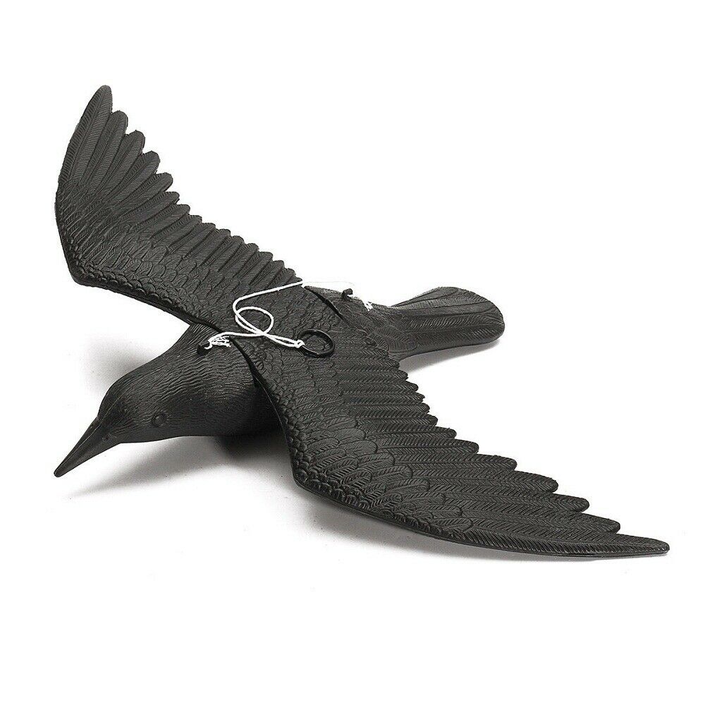 Crow Lure Falco Realistic Hunting Control Pests Garden Scarer Scarecrow