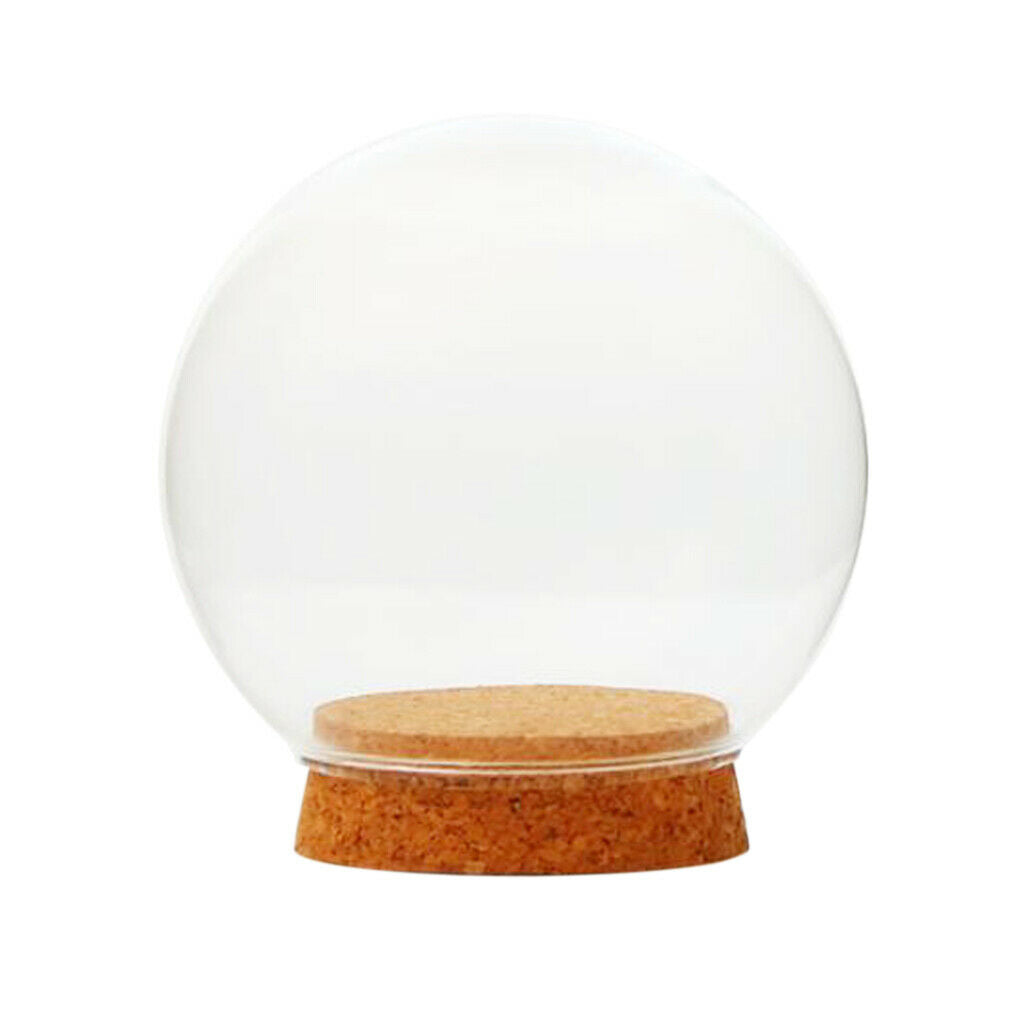 2Pack Dia 12cm Clear Glass Dome Cover Cloche Round Jar Succulent Terrariums