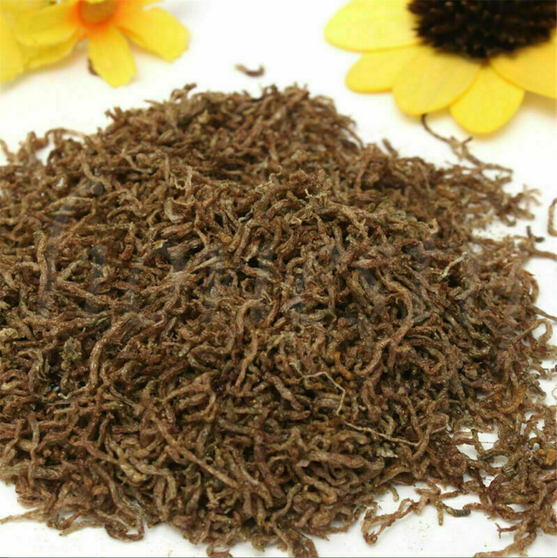 10grams Freeze Dried Blood Worm Fresh Tropical Fish Discus Tetra Food Feeding