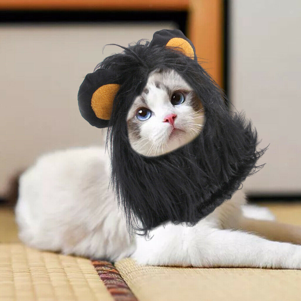 Lion Mane Wig Costume Suit Cat Costume for Cat Pet Clothing Accessories M