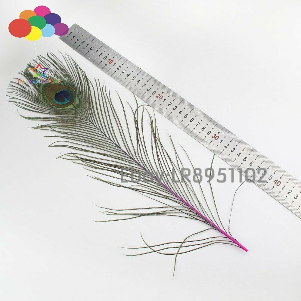 100 PCS rose red peacock feather 40-45 cm wedding decoration feathers Dance