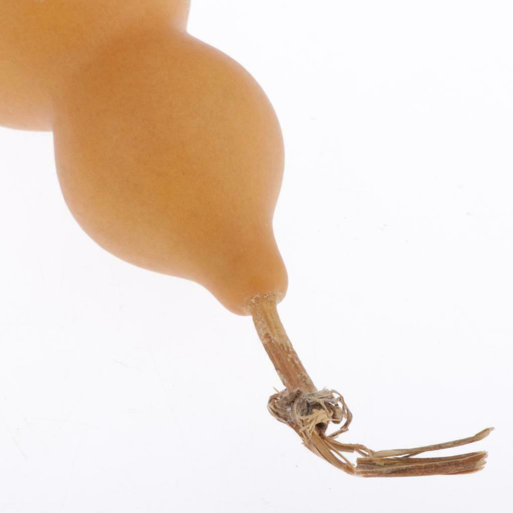 3Pcs Natural Gourds Pendant for DIY Crafts Home Key Ring Hanging Ornament
