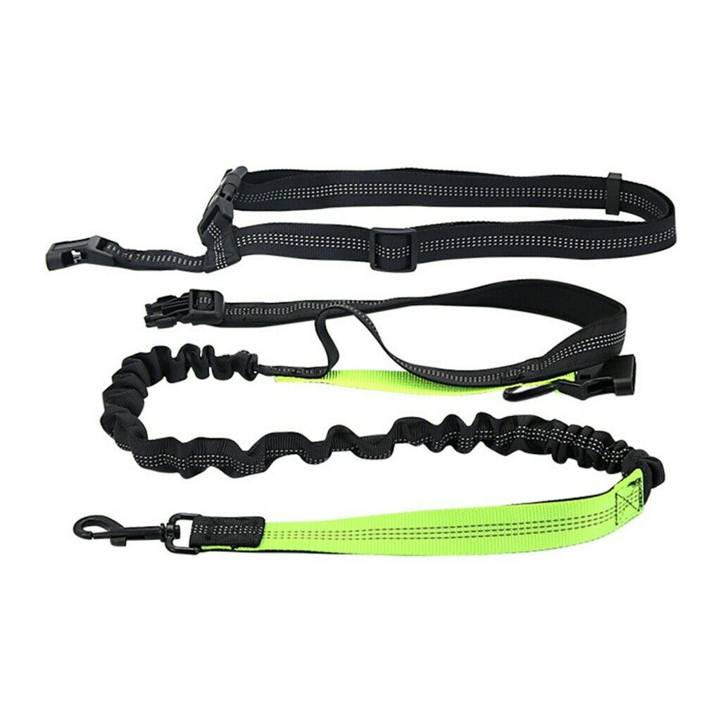 Adjustable Dog Walking Bungee Lead Strong Coupler Elastic Anti Strain Leash NEW