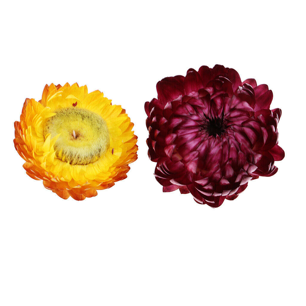 20g Pressed Flowers Real Natural Dried Flower Petals for DIY Crafts