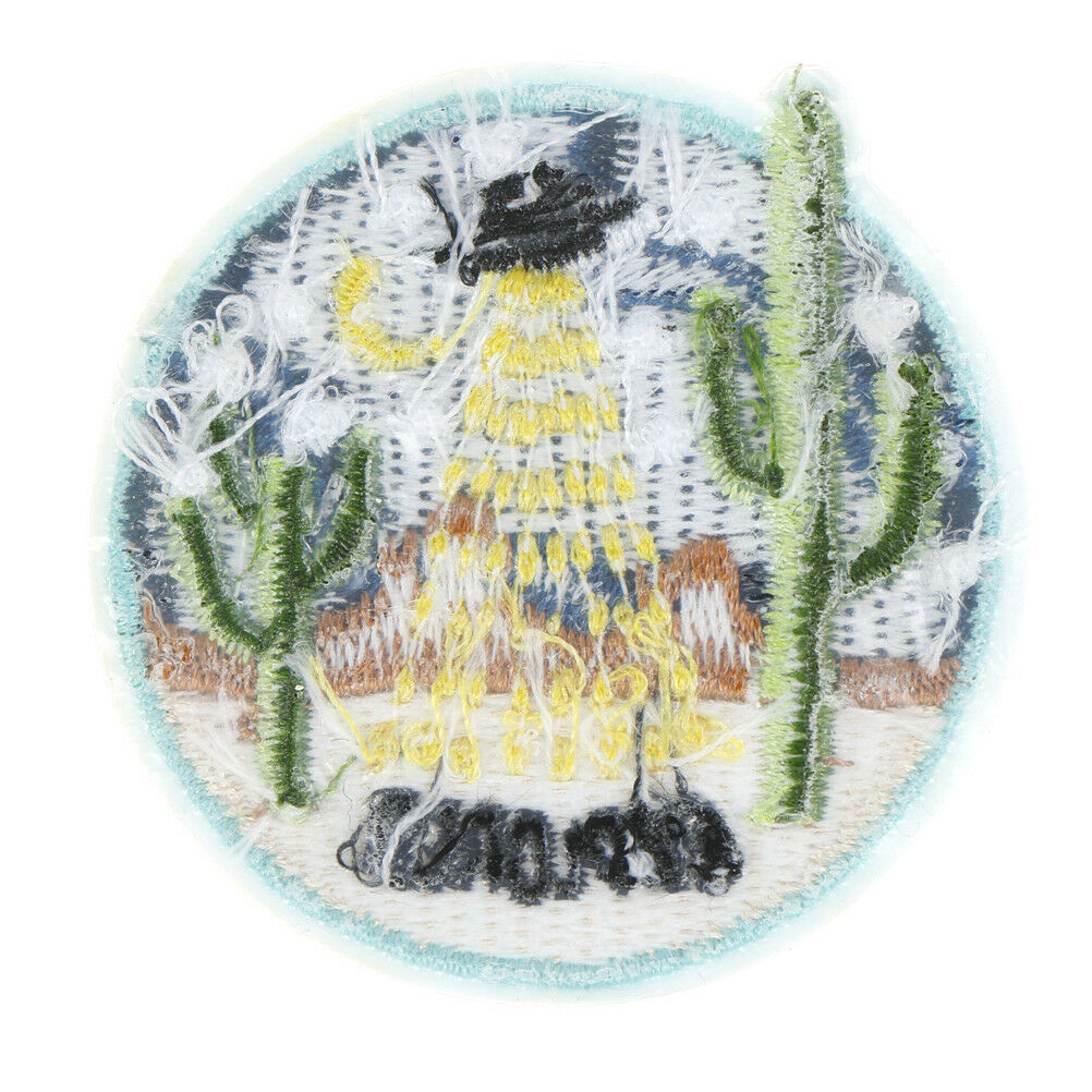 Cactus Fabric Patch Embroidered Sew on Patches For Clothing DIY Decoration.l8
