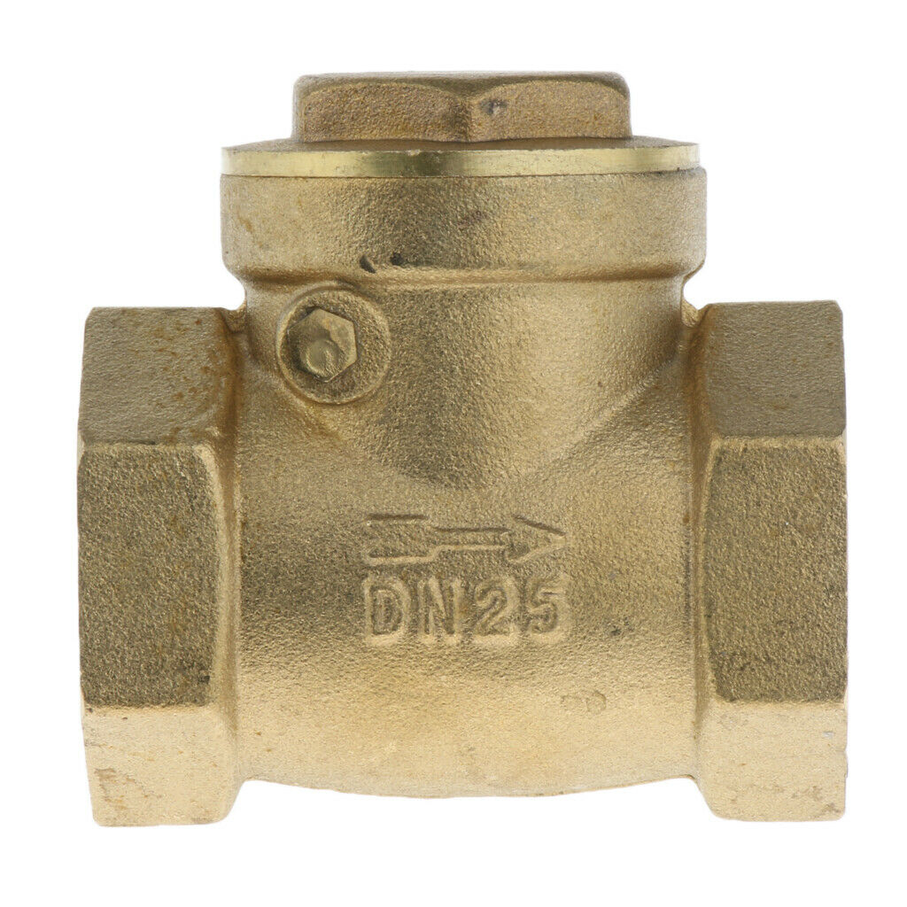 High pressure backflow preventer 1 '' internal thread DN25 one-way check valve