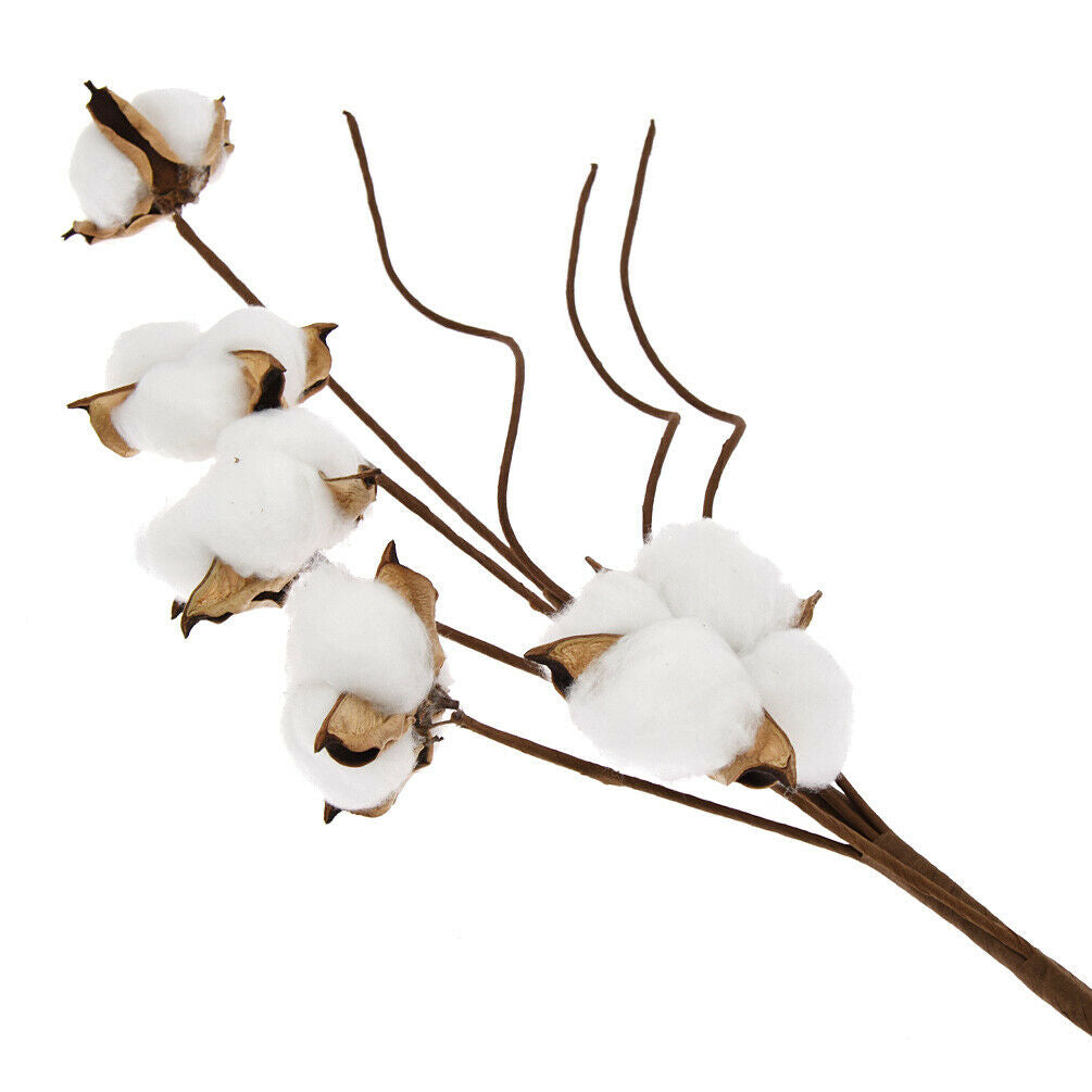 5 Heads Dried Cotton Branch Flower Bouquets DIY for Home Wedding Party Decor