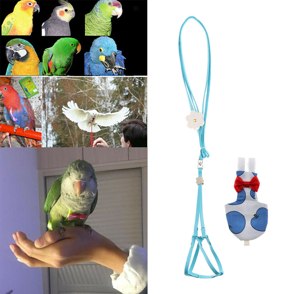 Reusable Nappies  Cloth Diaper & Leash for Small to Medium Birds
