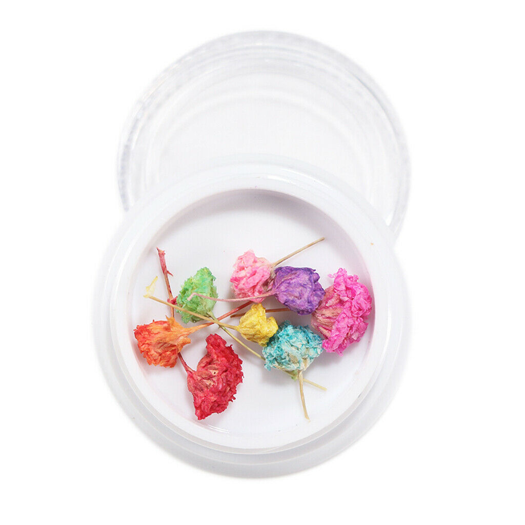 Dried Flowers Nail Art Manicure Tools For Acrylic Uv Gel Tips Decoration 9