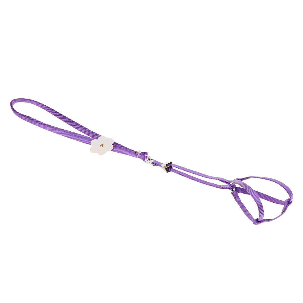 Outdoor Parrot Rope Pet Leash Adjustable Bird Harness S Purple