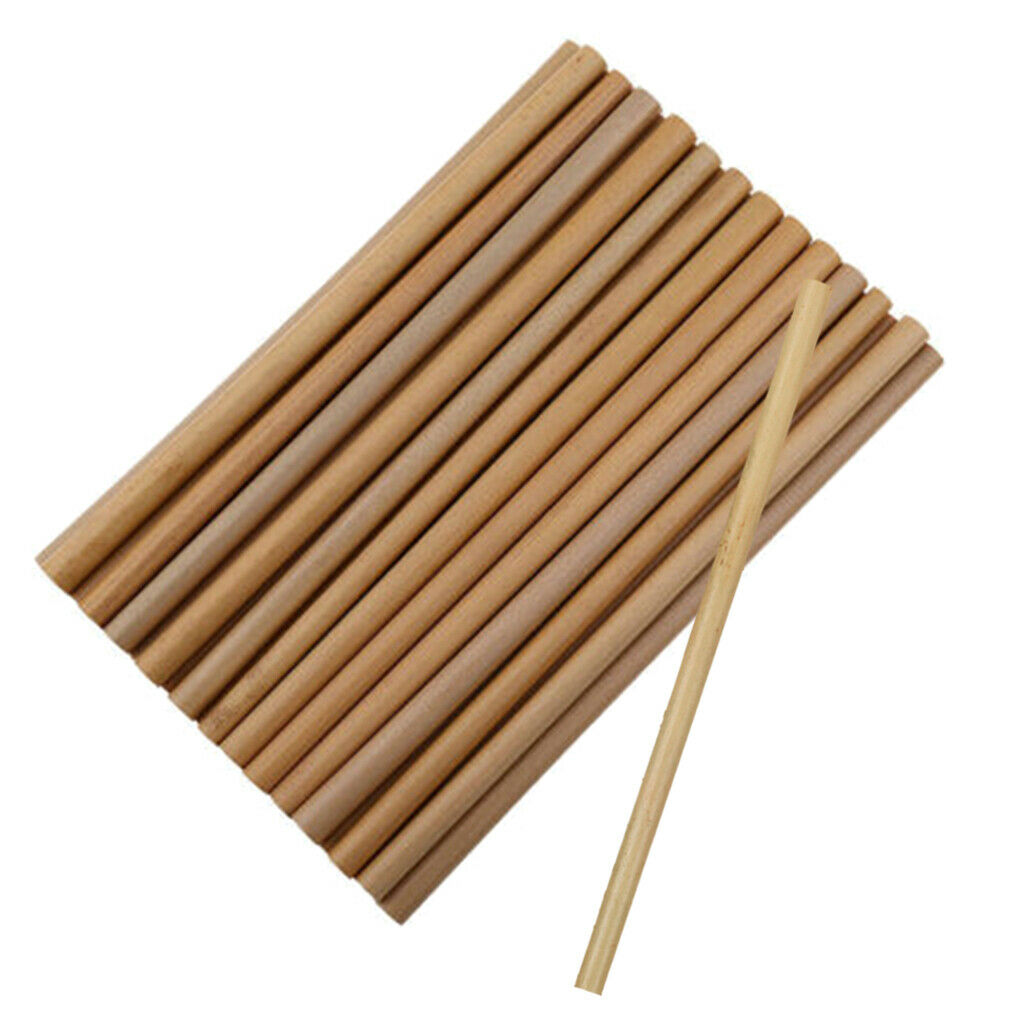 30x Real Bamboo Straw Sticks Tableware DIY Pen Holder Wood Hobby Supplies