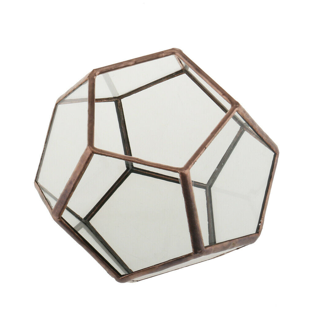 2x Glass Brass Terrarium Box Tabletop Succulent Plant Planter Flower Pot