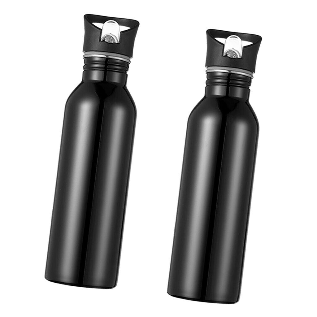 Sports Water Bottle Stainless Steel Flask 26oz Hiking Picnic Straw Cup