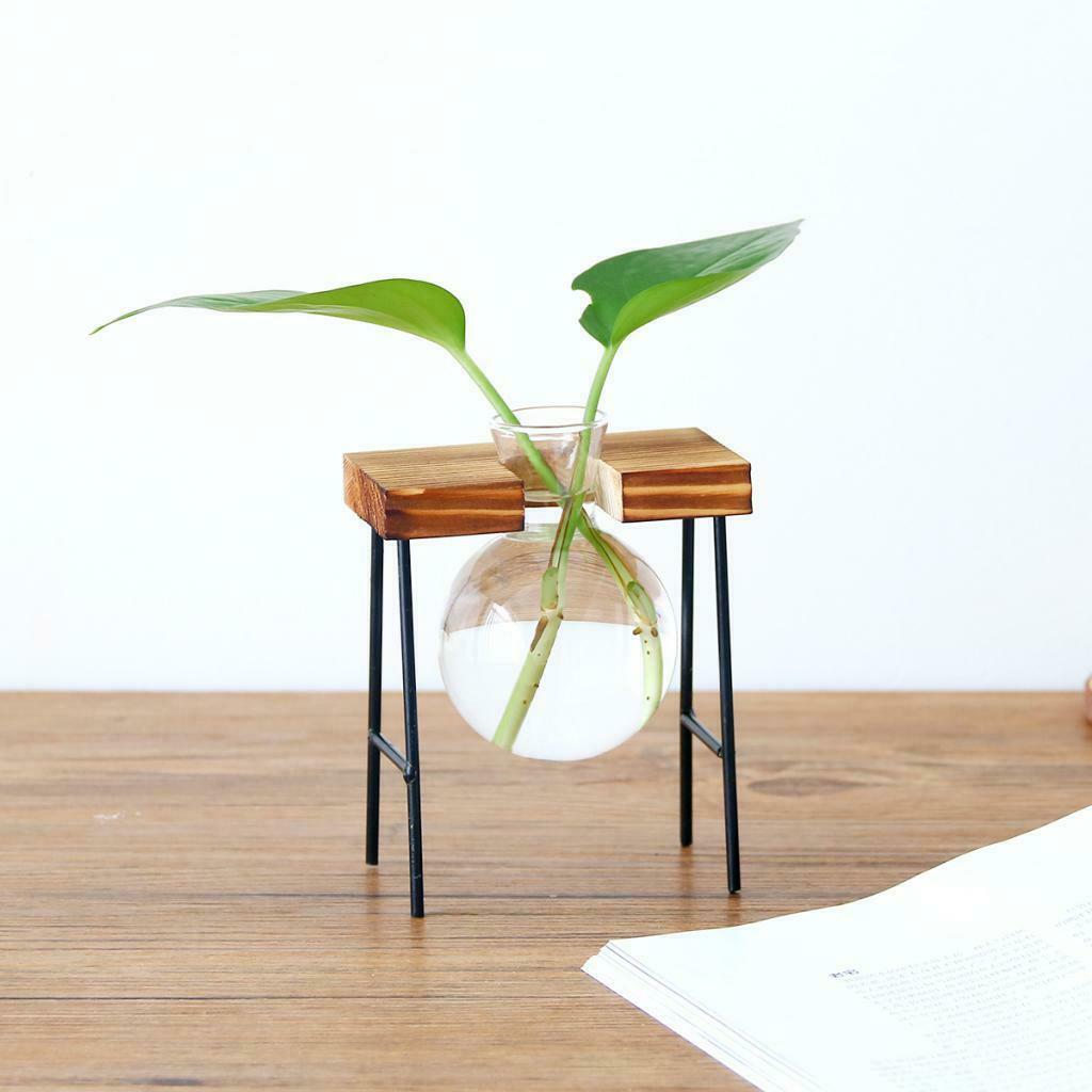 Set of 2 Hydroponic Glass Planter Terrarium Gardening Indoor Outdoor L/S