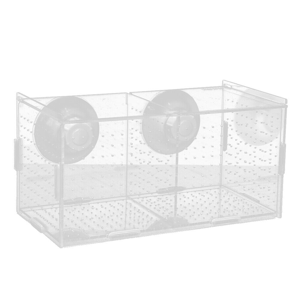 Aquarium Isolation Tank Young Fishes Rearing Box Tank with Suction Cup