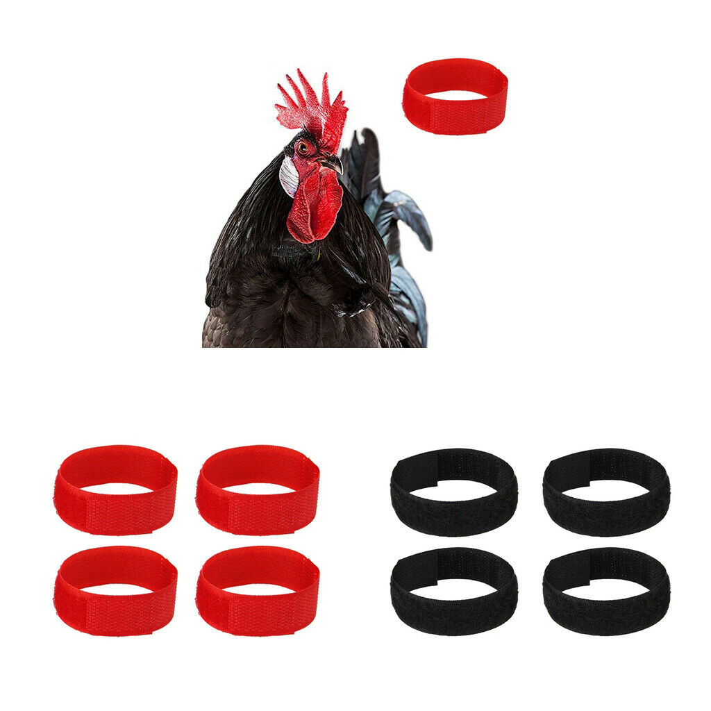 20Pieces Rooster Collar Anti Crow Prevent Rooster from Screaming For Chicken