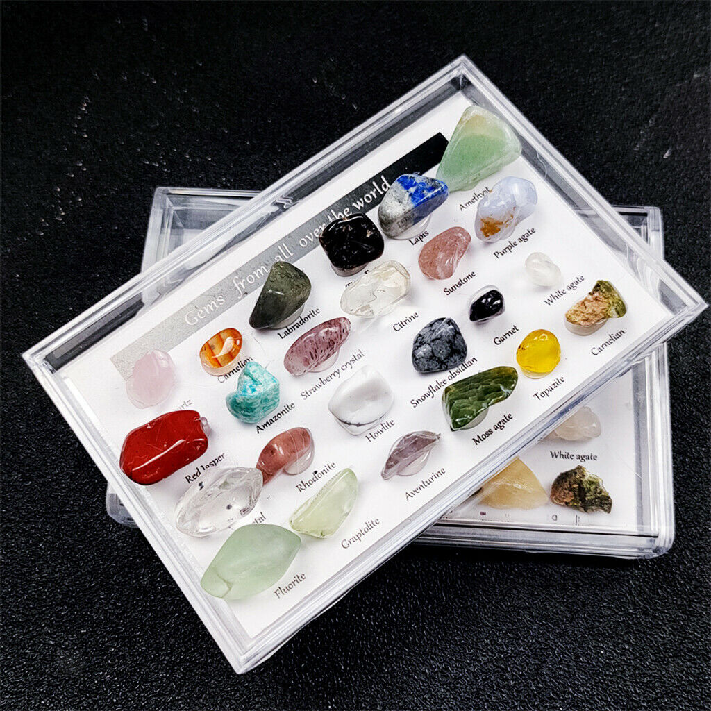 24x Rock and Mineral Mining Experimental Kit & Collection Box Education