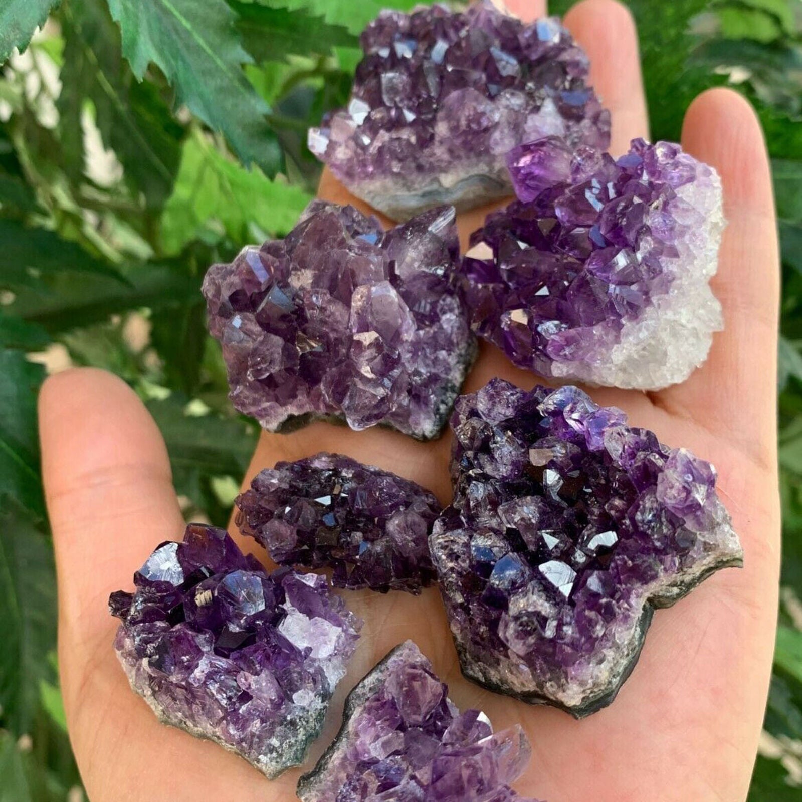Raw Amethyst Cluster Druzy Collection Box Deep Purple Amethyst
