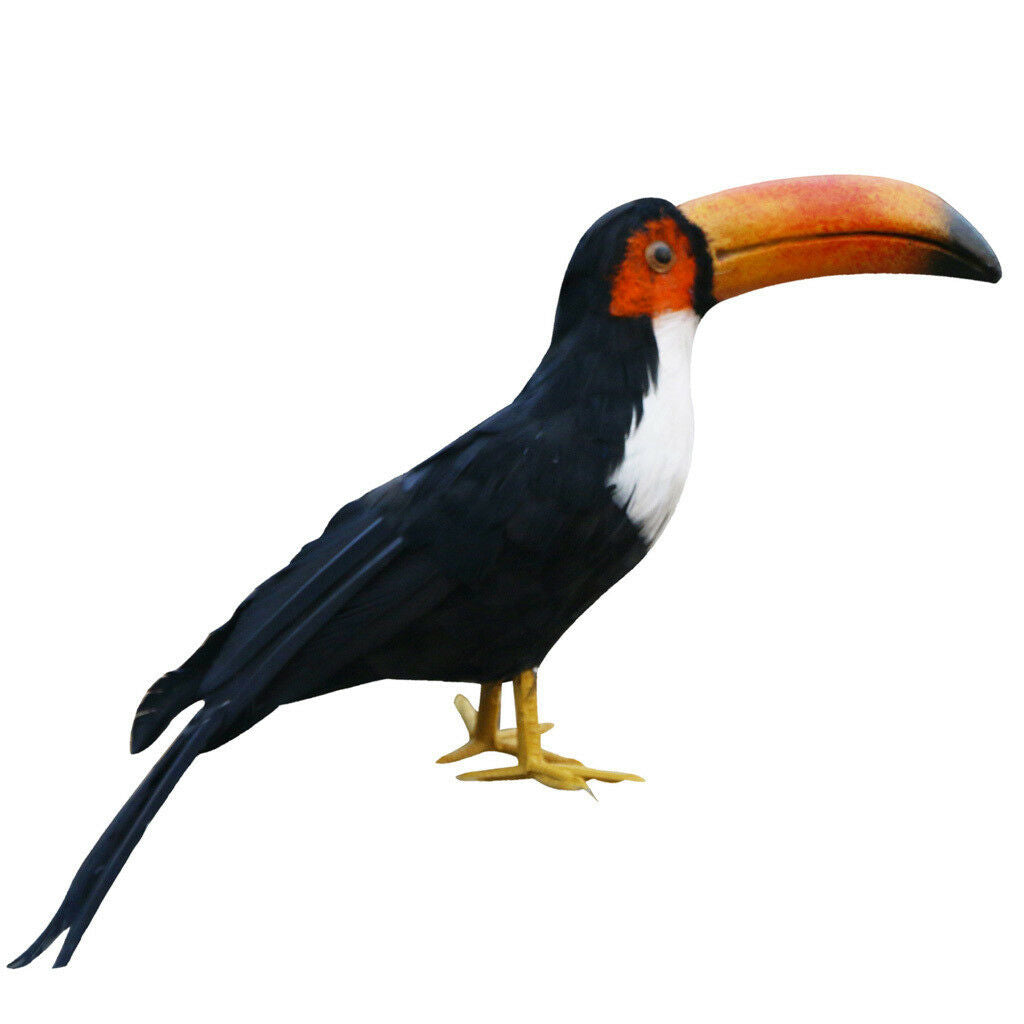 Artificial Black Toucan Bird Realistic Taxidermy Home Garden Decor 35cm #9
