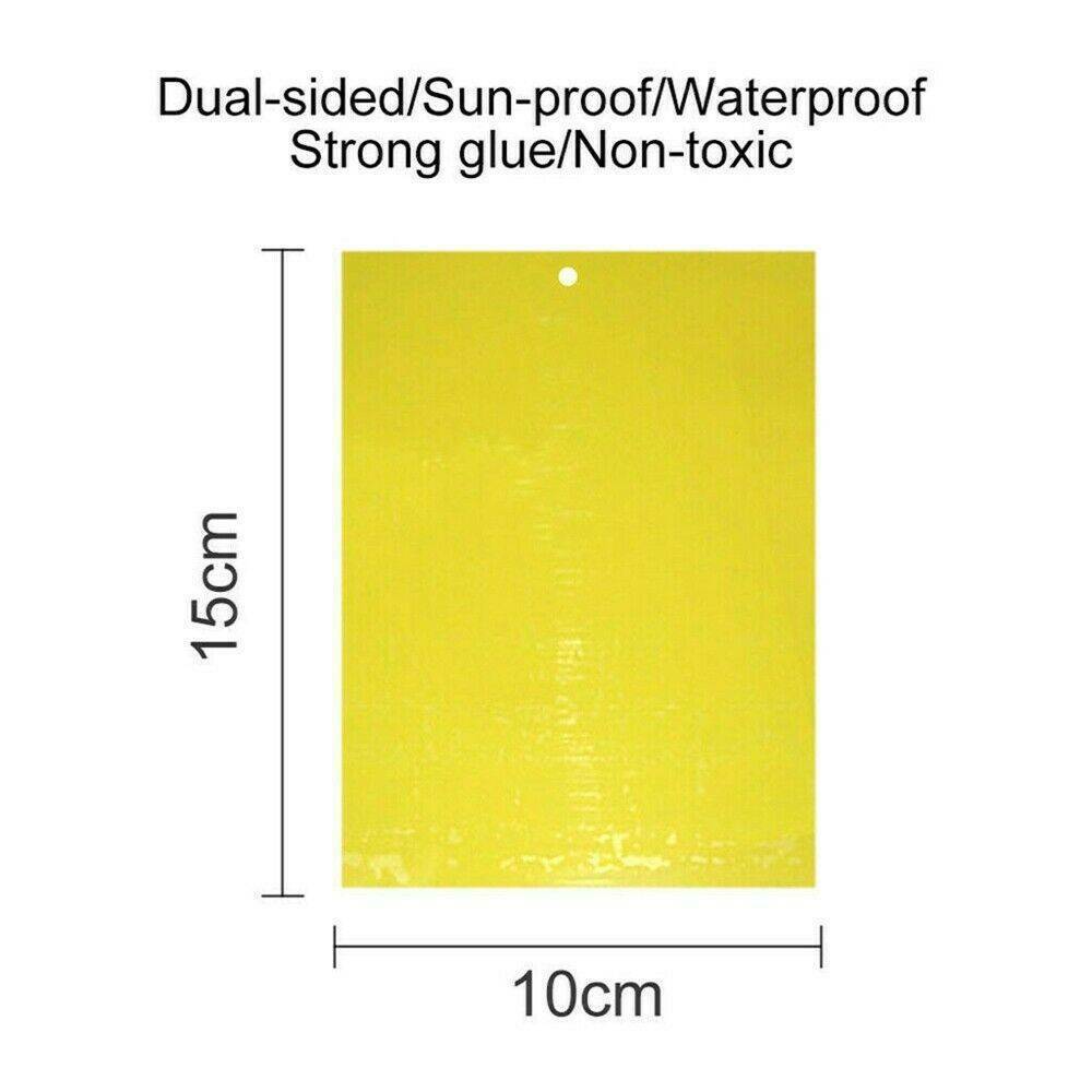 10x Sticky Fly Bug Wasp Insect - Poison Free Paper Traps Catchers Traps 10x15cm