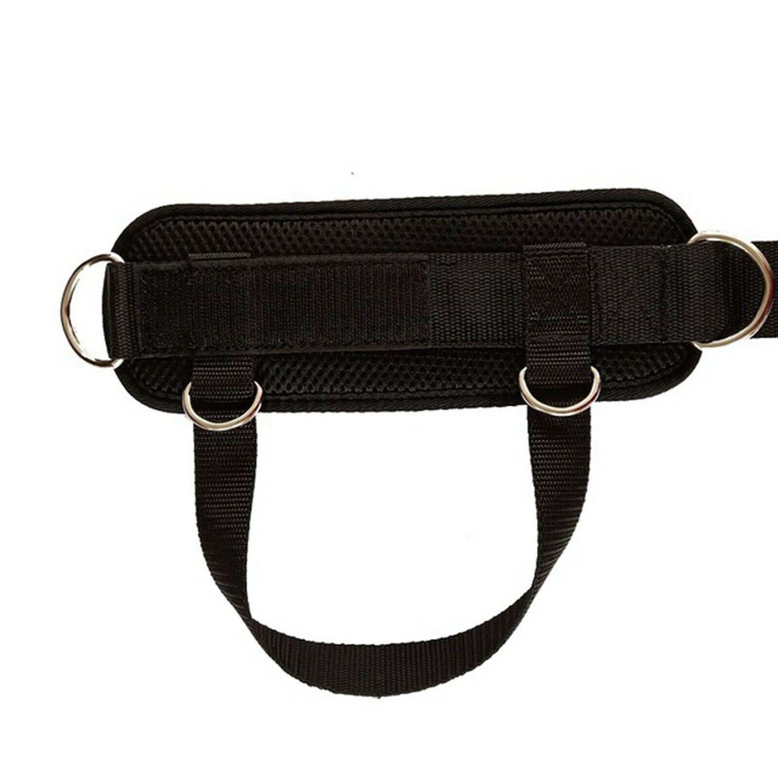 Fitness Ankle Strap Padded Ankle Cuff for Pulley Machines Weightlifting