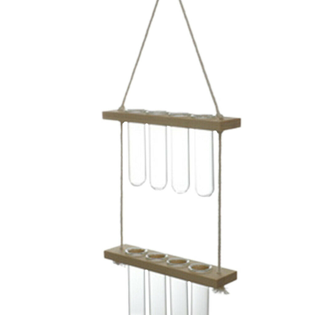 Hanging Hydroponic Terrarium Glass Planter Propagator Indoor Plant Bar Decor