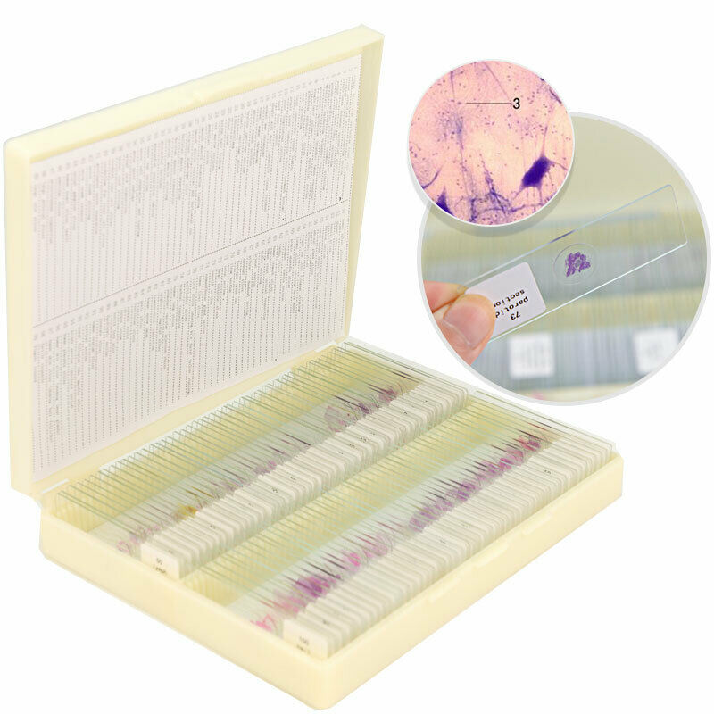 100 PCS Human Tissue Sections Histology Prepared Specimen Microscope Slides