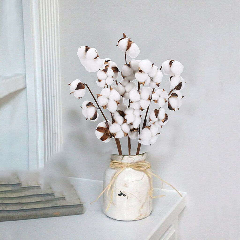Dried Cotton Stems Table Centerpieces Vase Filler for Decor 7 Bolls 6pcs
