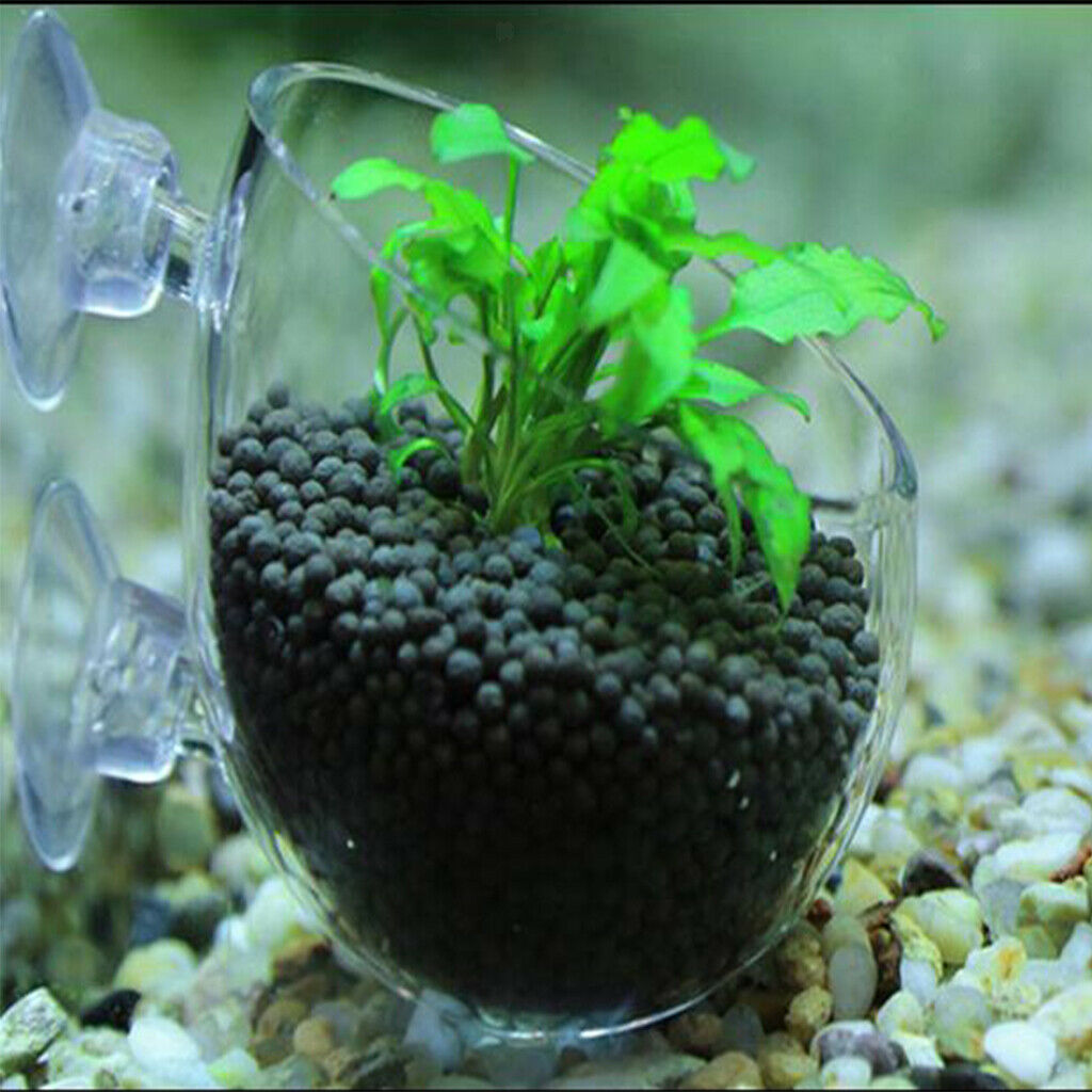 Set of 2, Aquatic Plant Clear Glass Cup Pot Aquarium Fish Tank Plant Holder