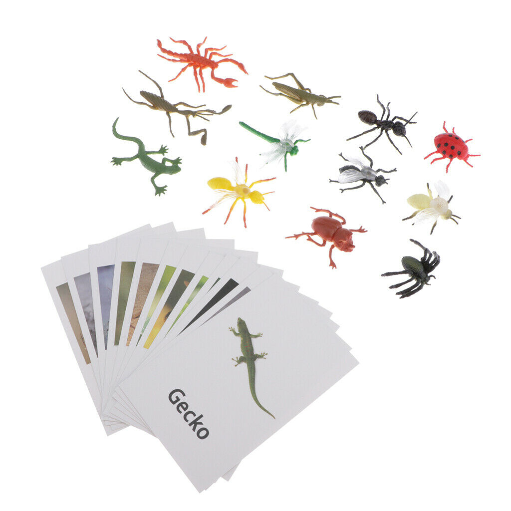 12pcs Insect Animal Match, with Learning Language Kids Cognitive Skills