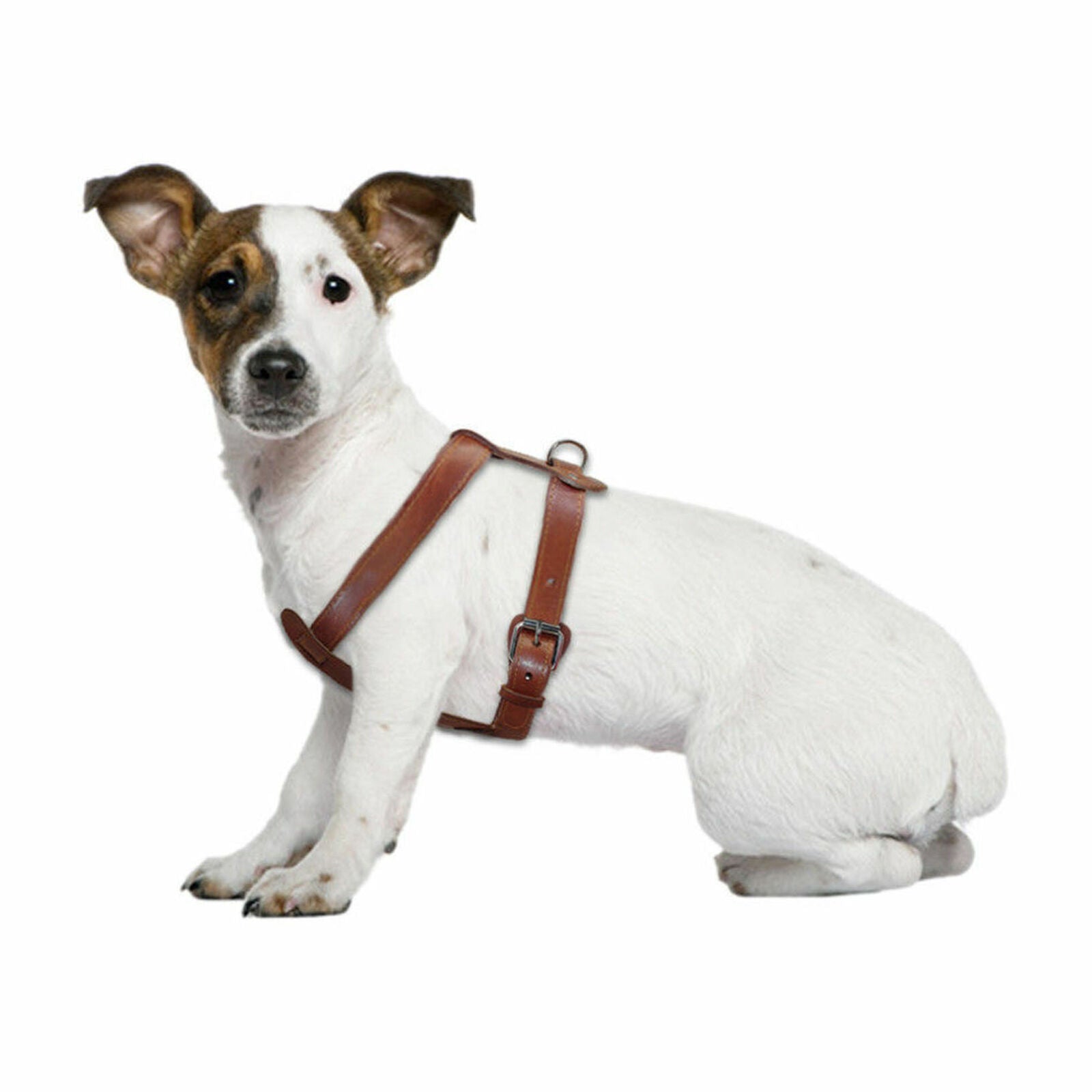 Leather Dog Harness Small Large Pet Vest Heavy Duty for Pit Bull Boxer