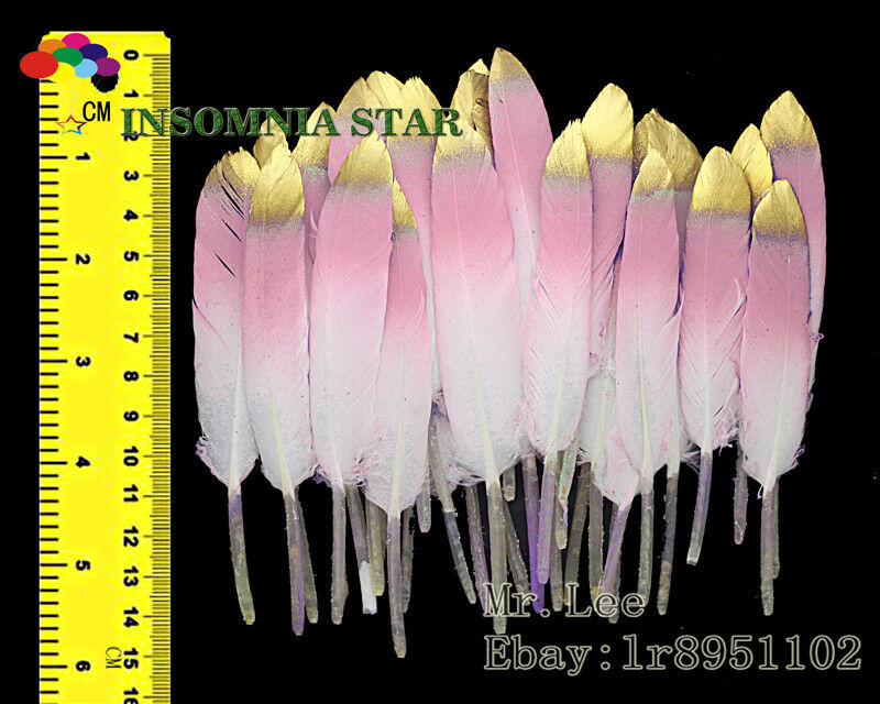 Goose Feather 4-6 inch/10-15 cm 100 Pcs Fluorescent Pink carnival Diy costume