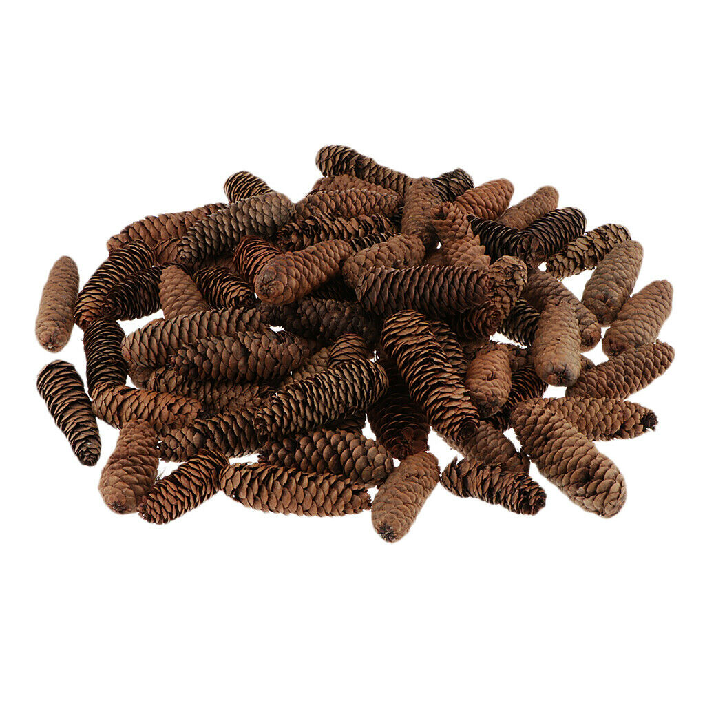 1KG Pine Cone Pineal Nuts Party Decoration Adornment Vase Bowl Fillers 1-6cm