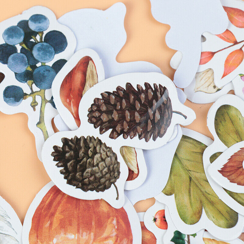 46pcs/lot Autumn Fallen leaves Plant Paper Diary Mini Cute box Stickers s.l8