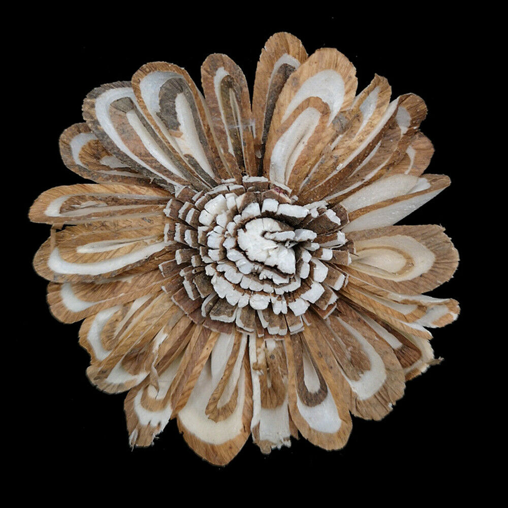 2x Artificial Flower Rattan Reed Sticks Oil Diffuser Aroma Refill Fragrance Deco