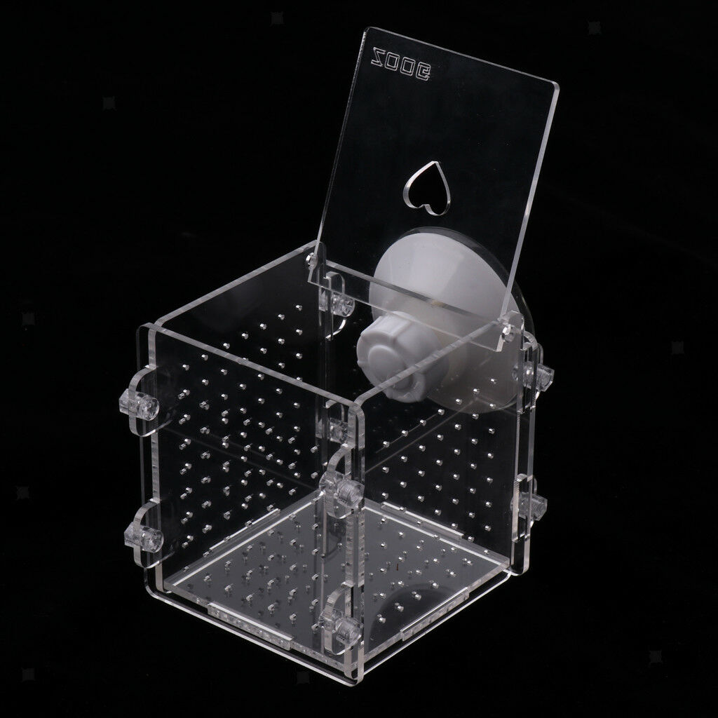 Acrylic Clear Aquarium Guppy Baby Small   Separator Fishes Breeding Box