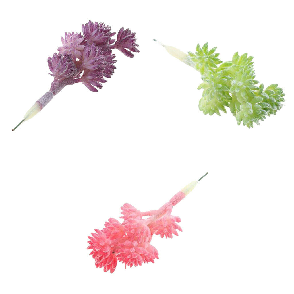3 Pieces Succulent Plants Simulation Home Garden Decoration DIY