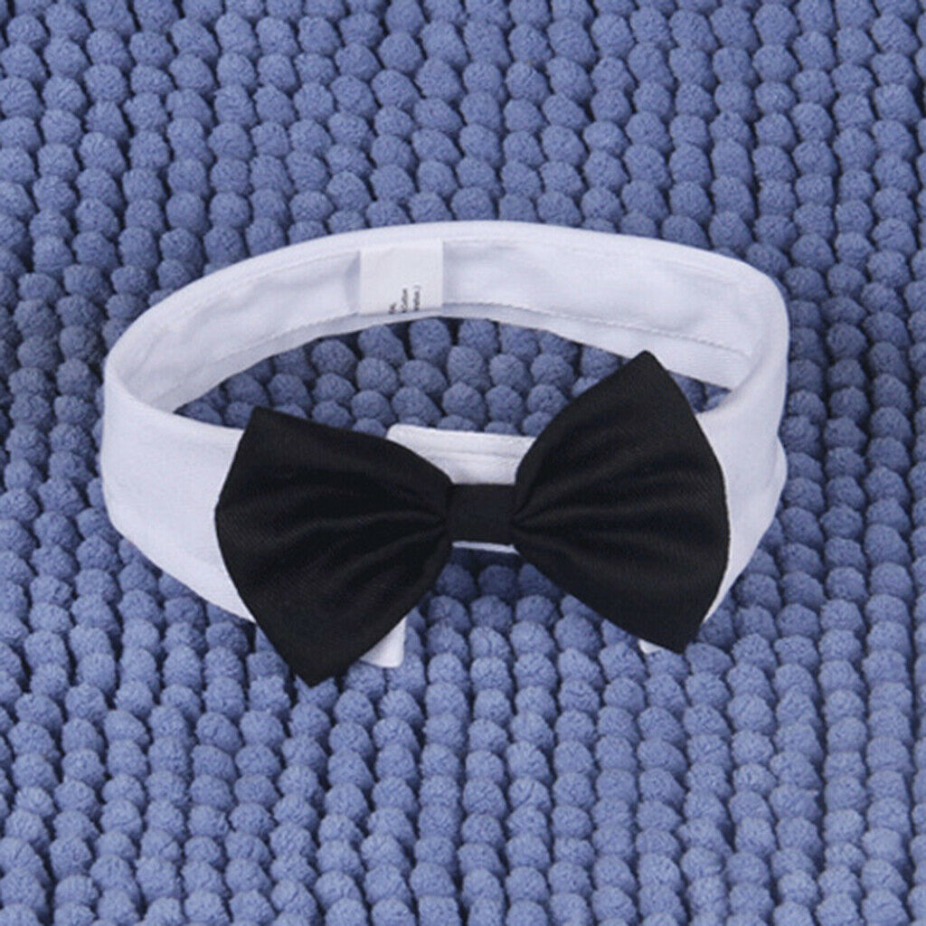 Adjustable Pet Dog Cat Bowknot Tie Christmas Holiday Party Collar White_L