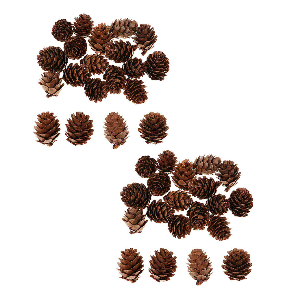 40 PCS Natural Real Dried Pinecones For Table Vase Bowl Filler Display Decor
