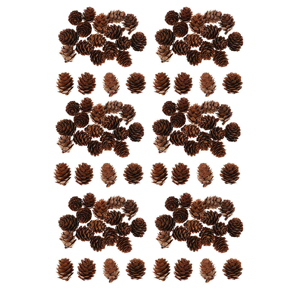 120pcs Pine Cones Decorative Premium Pinecones Home Party DIY Embellishments
