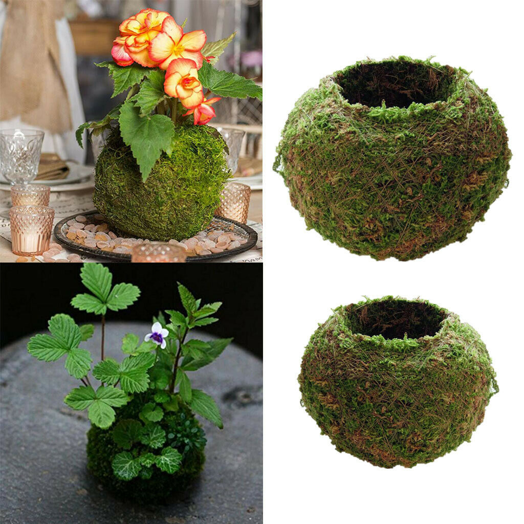 2 Piece Moss Ball Shape Flower Vase Flower Pot, Creative DIY Gardening Potted