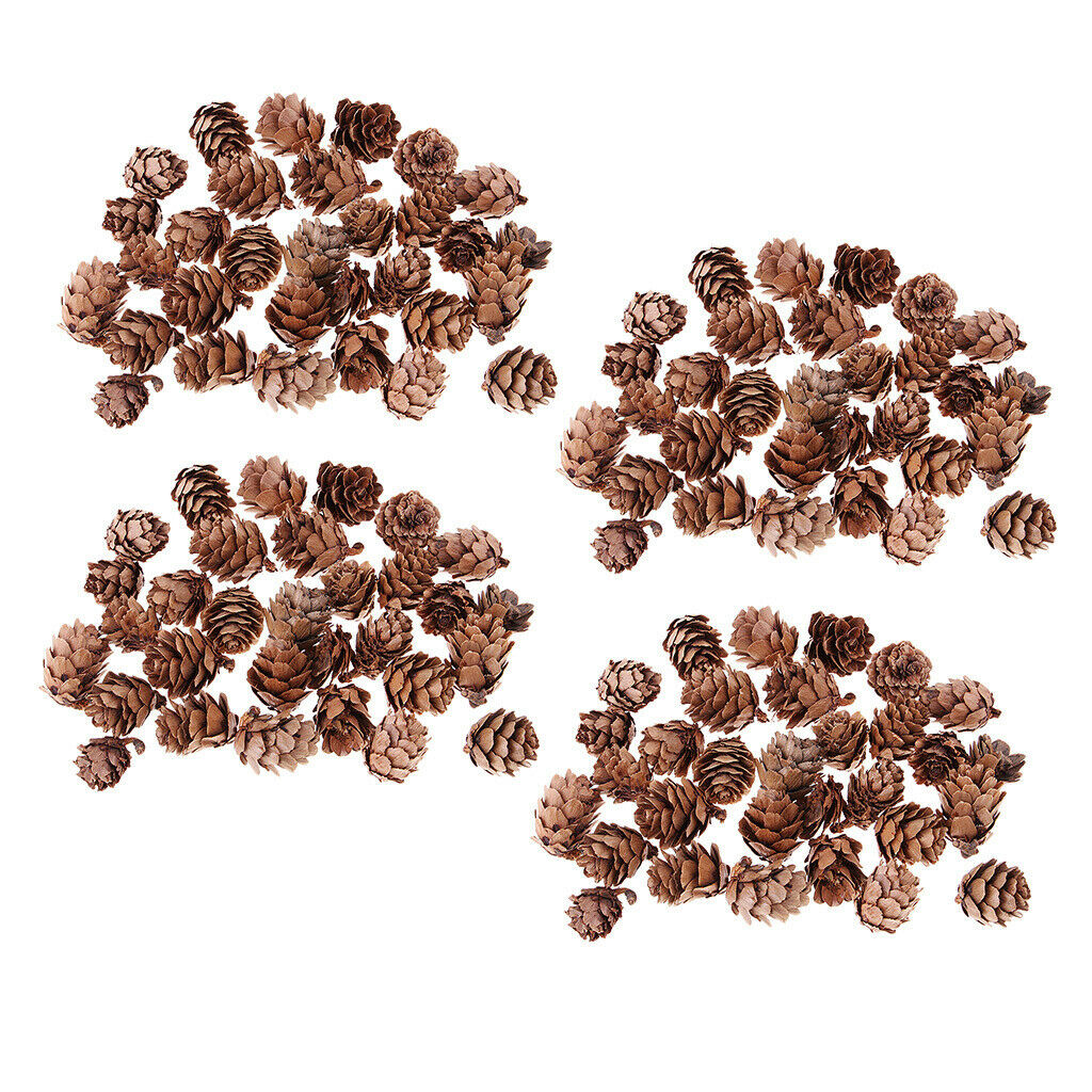120pcs Natural Decorative Pine Cones Pinecone for Florists Crafts Decoration