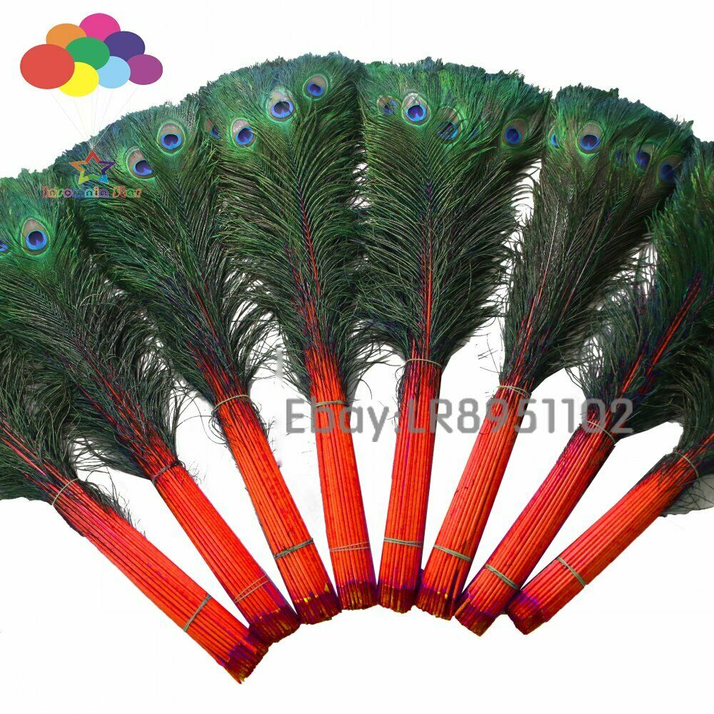 Red 100 pcs 28-32 inches/70-80 cm high quality natural peacock feather DIY Deco