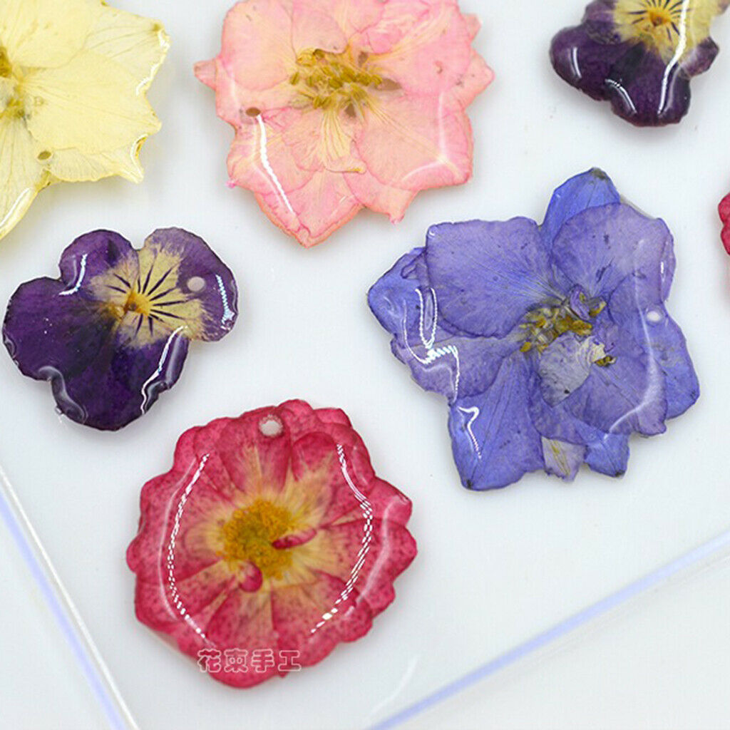 Dried Flower Larkspur Pressed Dried Flowers DIY Greeting Crafts Decoration
