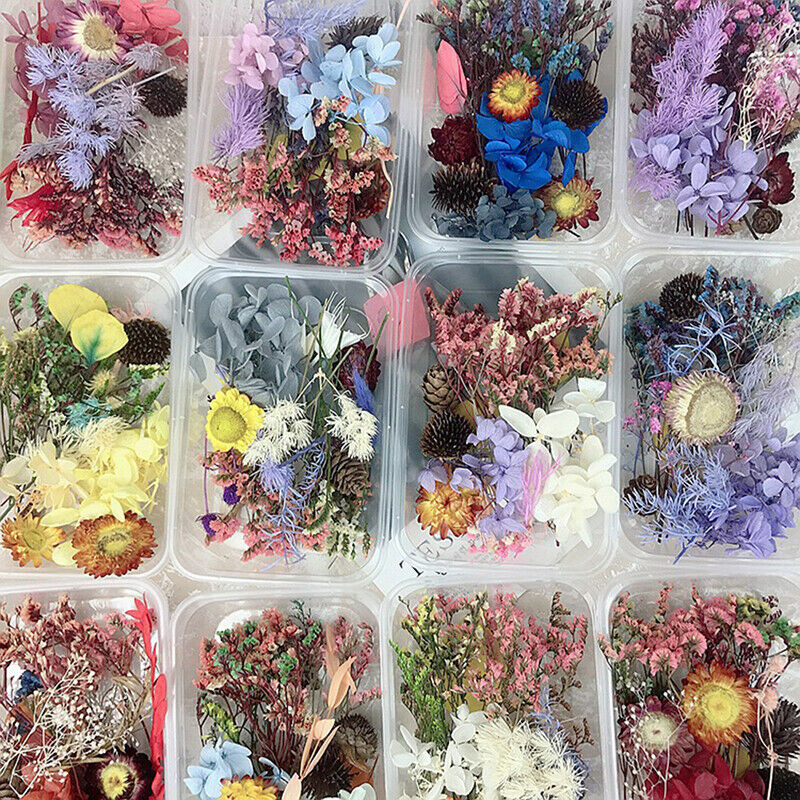 1 Box Dried Flower DIY Accessories Dry Candle Pendant Home Wedding Flower.l8