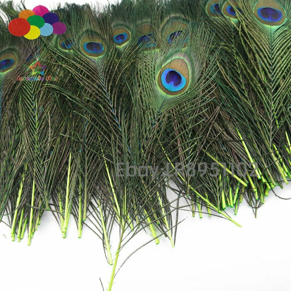 100 PCS Fluorescent Peacock Feather 25-30 cm Clothing Decoration Plumage Fashion