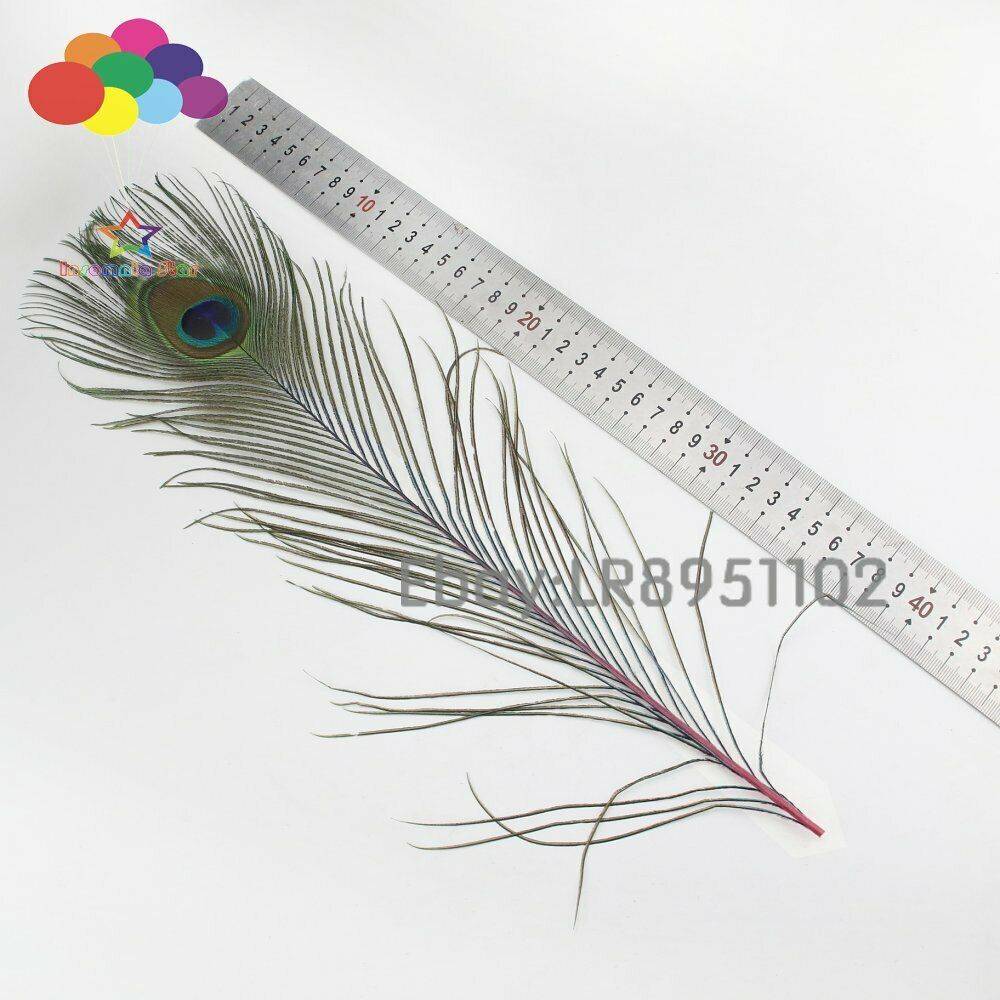New 100 pcs / Lot pink Beautiful Peacock Feathers 40-45 cm DIY Weddings Reunions