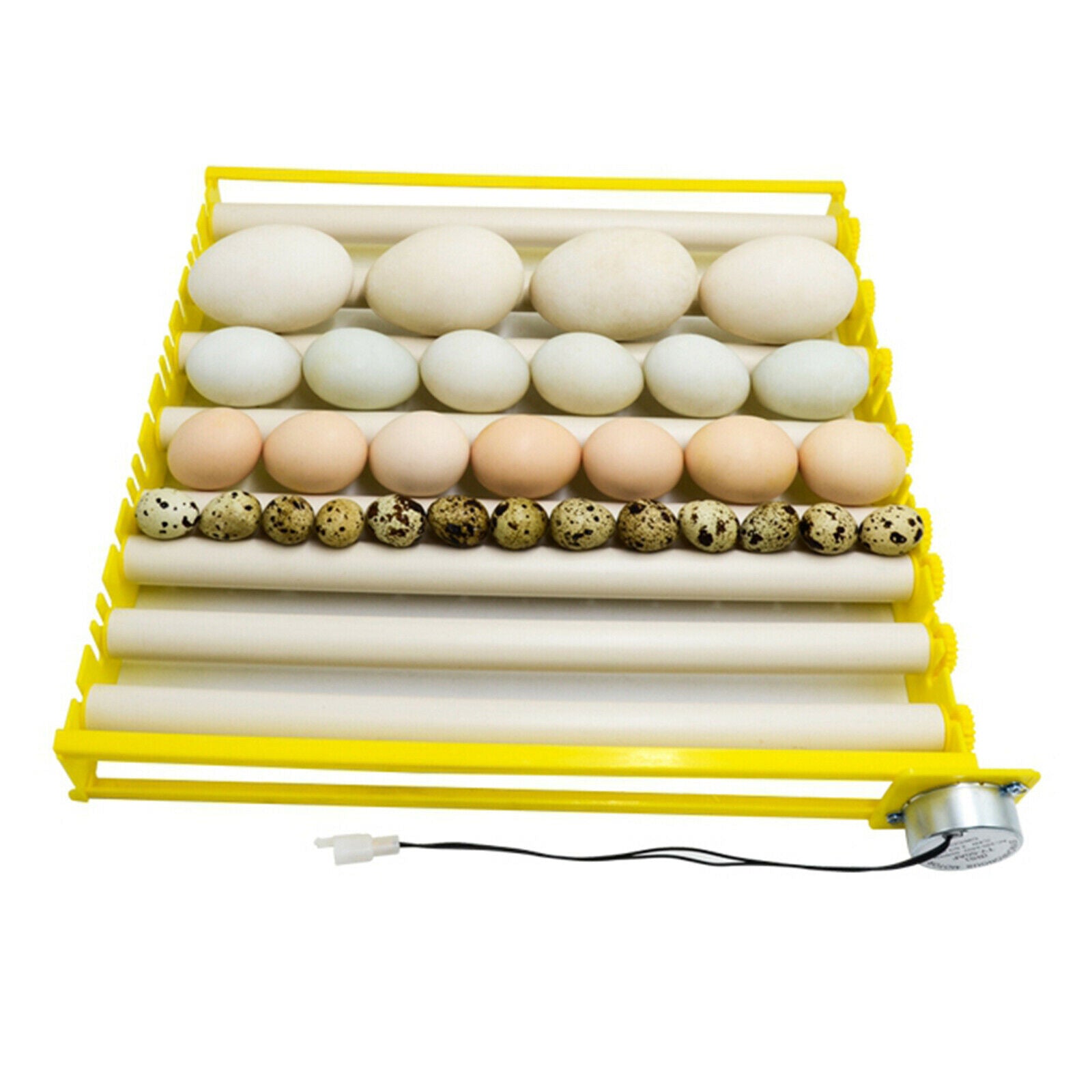Egg Incubator Tray 360Â° Rotary Automatic Egg Turner Duck Quail 220V 9 Tubes