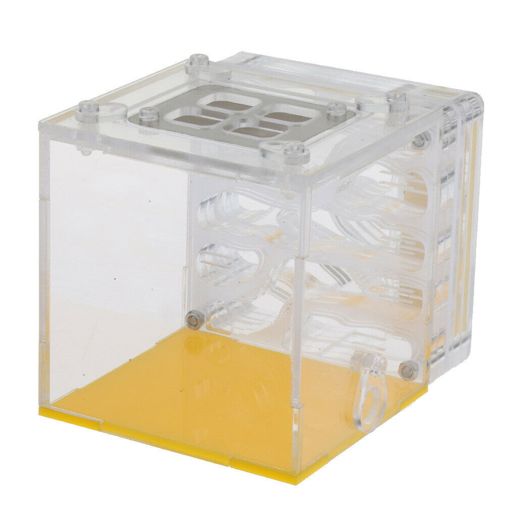 Square Ant Feeder Farm Water Erea For Insect Ant Nests Transparent 10x8x8.3cm