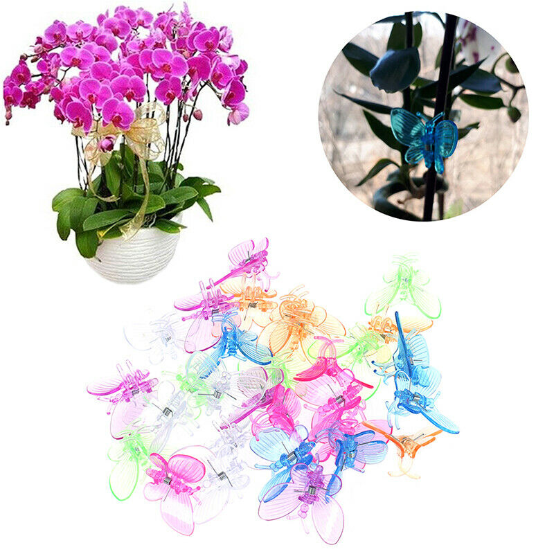 30 Pcs Butterfly Orchid Clips Plant Clips Garden Flower Vine Support Clip TP KX